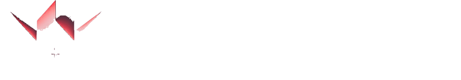 Window Armor USA logo